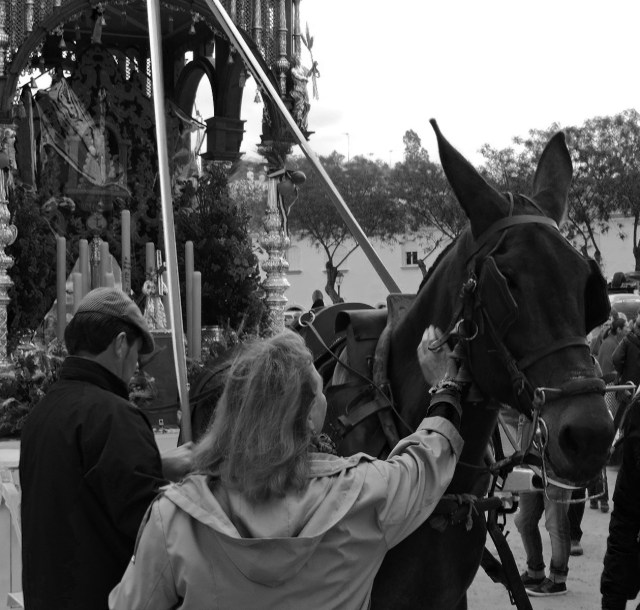 2016 05 10 Rocío salida (10)